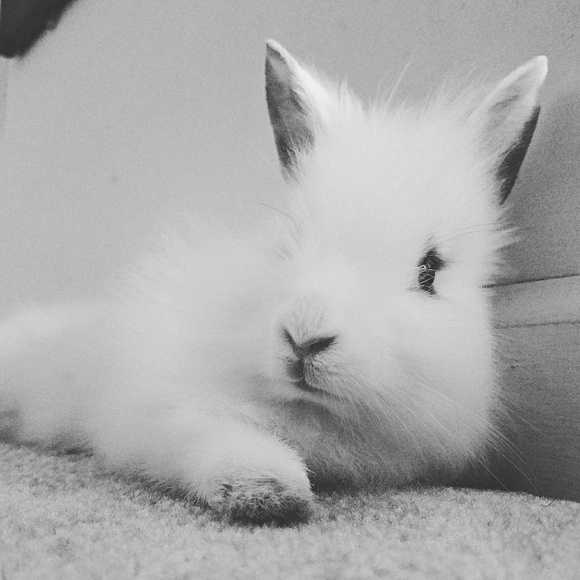 Hi! Welcome to my closet. I'm Theresa ❤ - Picture 4 of 6